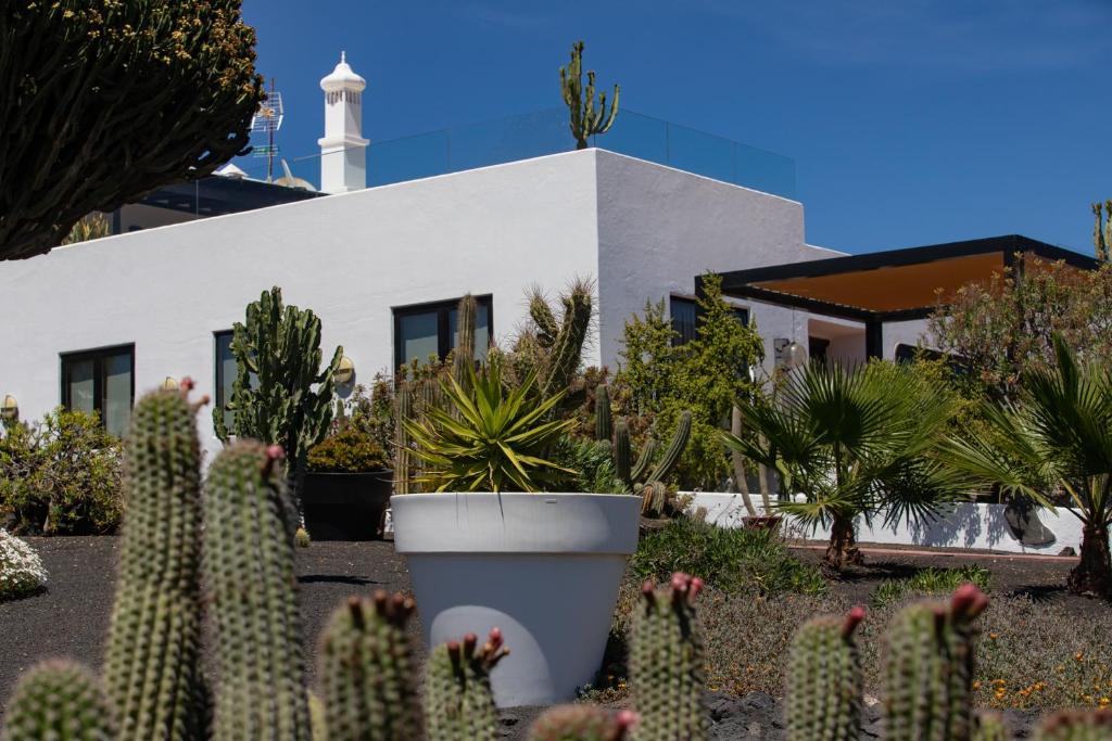 Zahrada ubytování 5 Suites Lanzarote