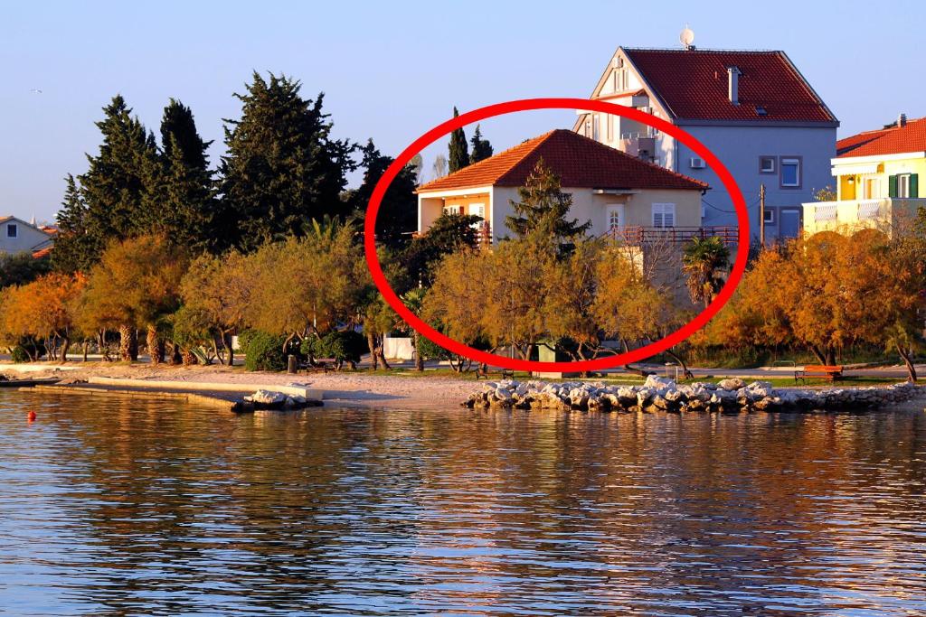 grupa ptaków siedzących na wyspie w wodzie w obiekcie Apartments by the sea Zadar - Diklo, Zadar - 5925 w mieście Zadar