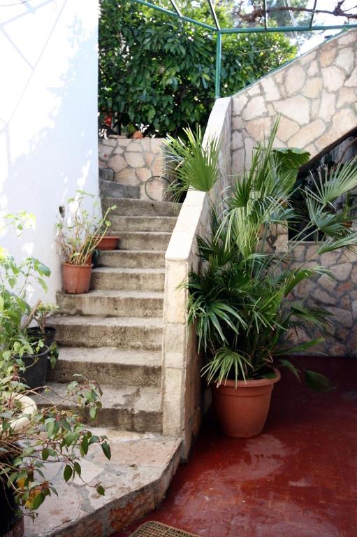 Zahrada ubytování Apartments by the sea Drasnice, Makarska - 6051