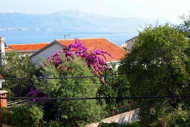 un grupo de árboles con flores púrpuras frente a una casa en Apartments by the sea Arbanija, Ciovo - 6062, en Trogir