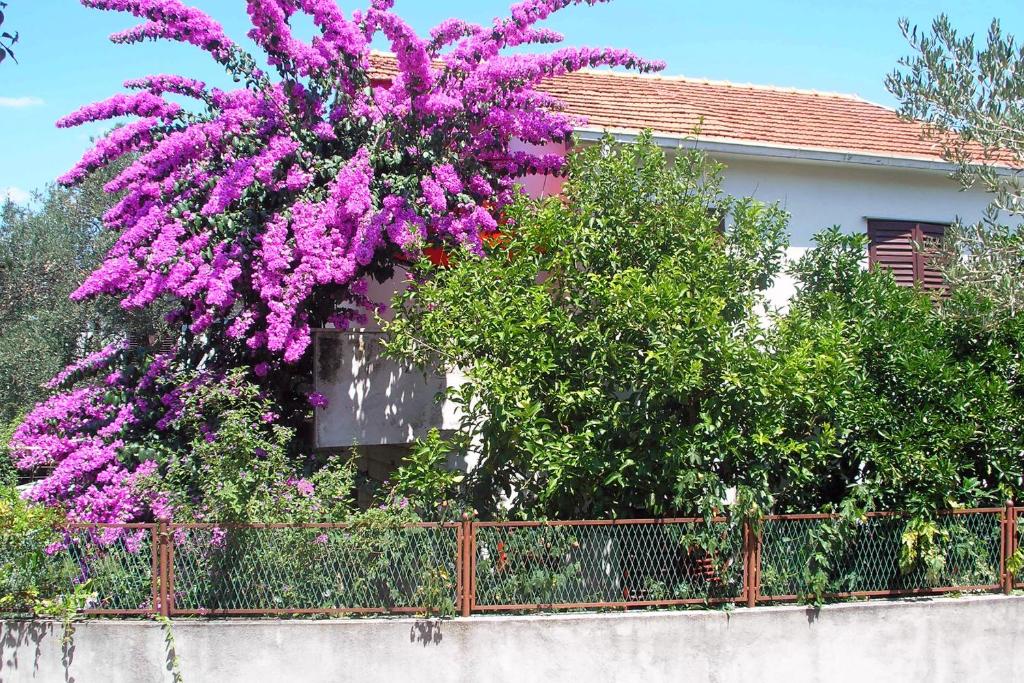 Fotografie z fotogalerie ubytování Apartments by the sea Arbanija, Ciovo - 6062 v Trogiru