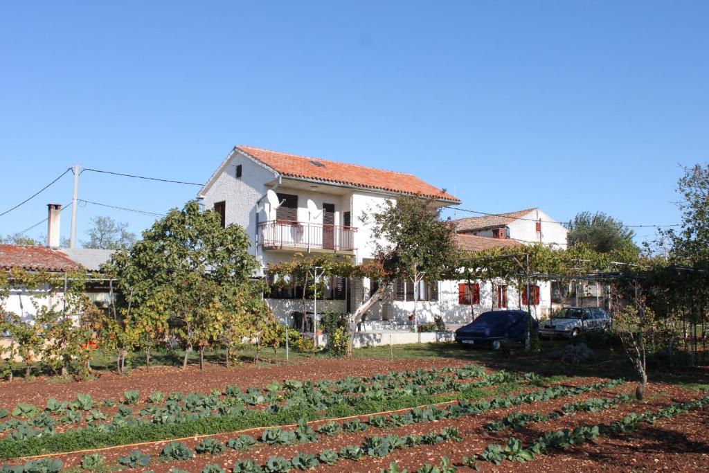 a house with a vegetable garden in front of it at Apartments with a parking space Valtura, Pula - 7419 in Valtura