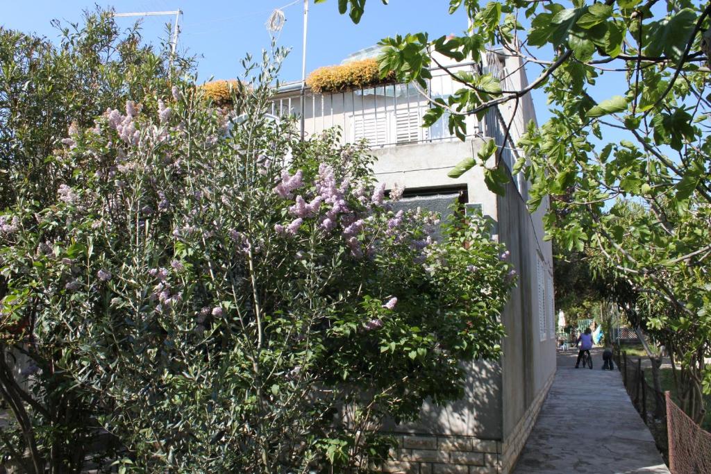Vonkajšia záhrada v ubytovaní Apartments by the sea Sukosan, Zadar - 6133