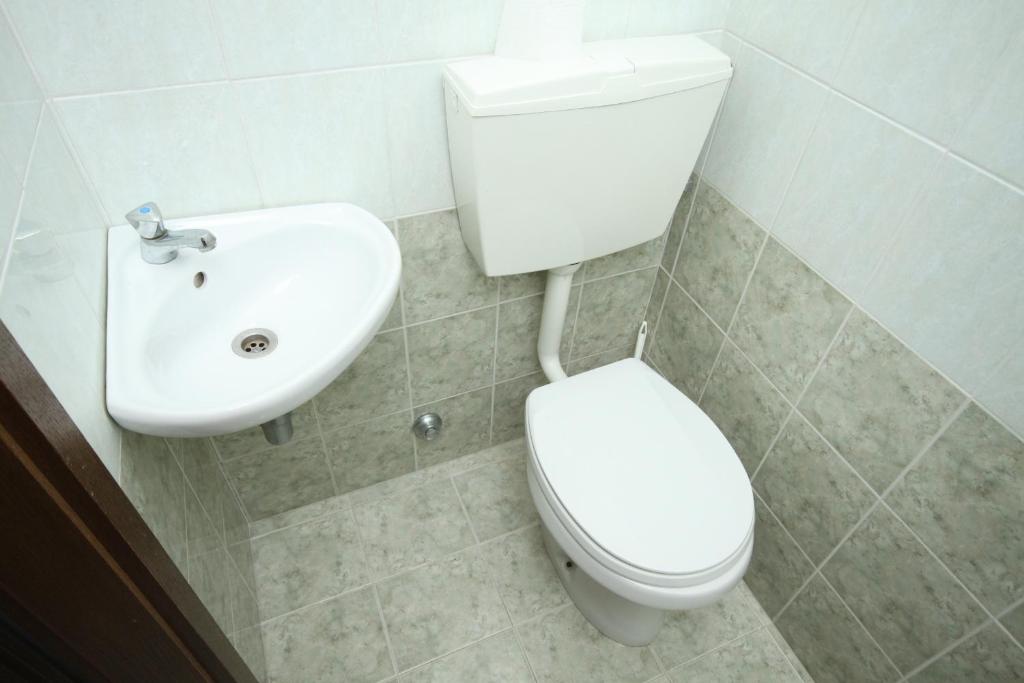 a bathroom with a white toilet and a sink at Apartments with a parking space Rabac, Labin - 7442 in Rabac