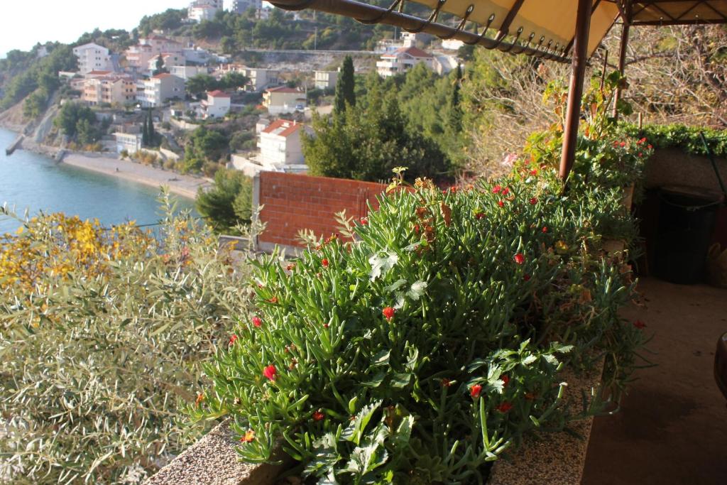 Príroda v okolí apartmánu