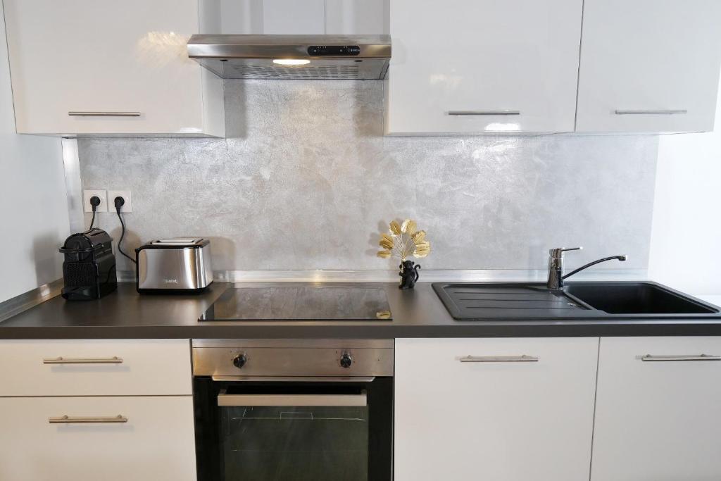 Kuchyňa alebo kuchynka v ubytovaní Appartements Premium en Hyper Centre Ville