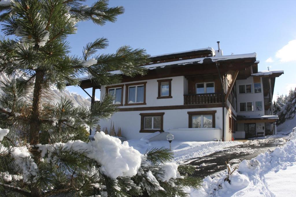 a house in the snow with a tree in front at A. Paolo Apartments in Vigo di Fassa