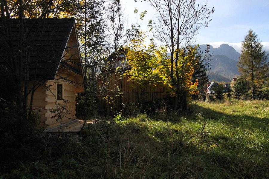 a house in the middle of a field with trees at Tutok in Zakopane