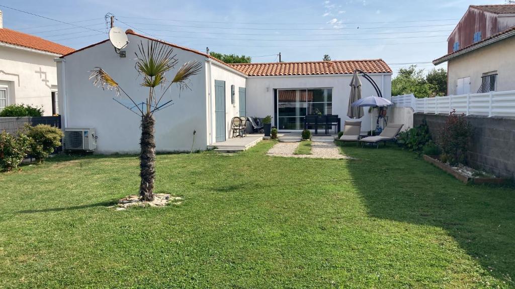una palmera en el patio de una casa en Jolie maison sur Ors (Oléron) jusqu'à 6 voyageurs en Grand-Village-Plage