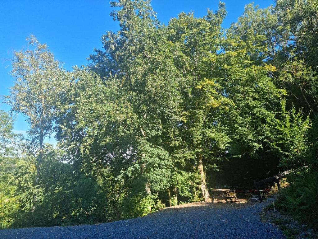 Příroda nedaleko apartmánu