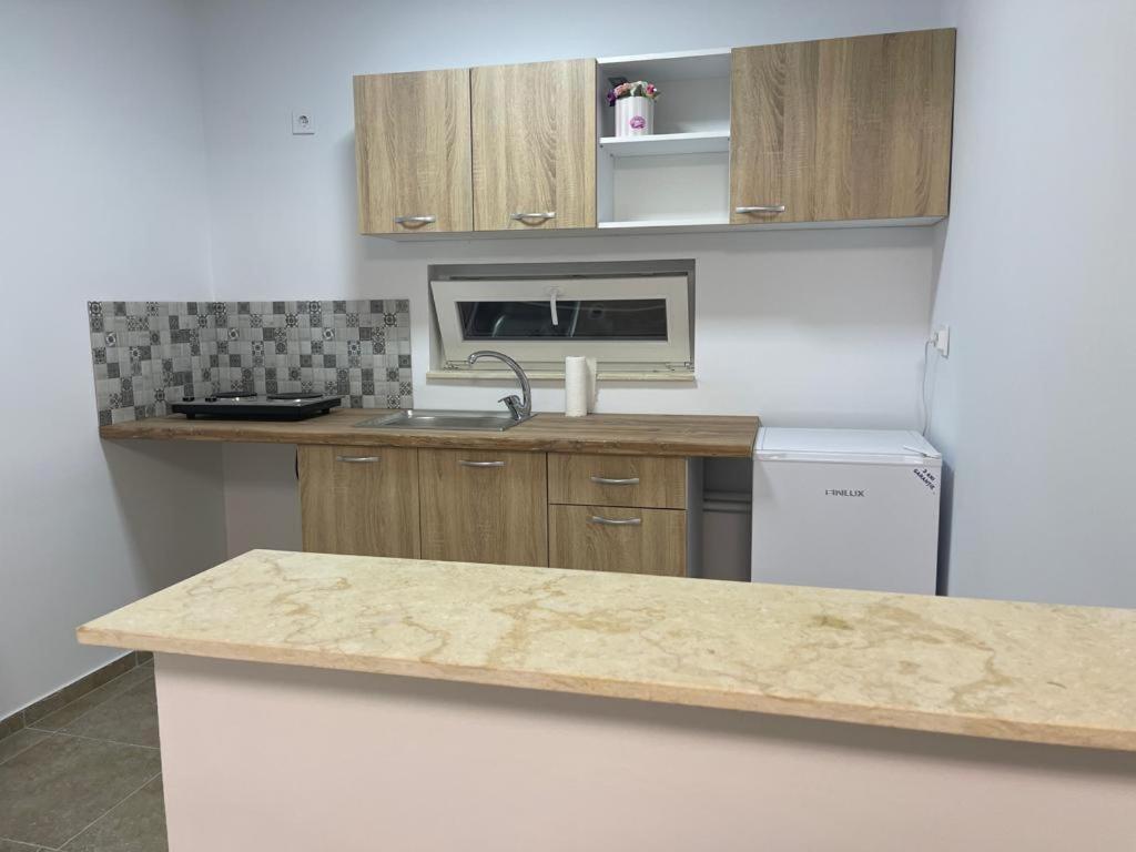 a kitchen with a counter top and a refrigerator at Bârlogul Balaurului in Afumaţi