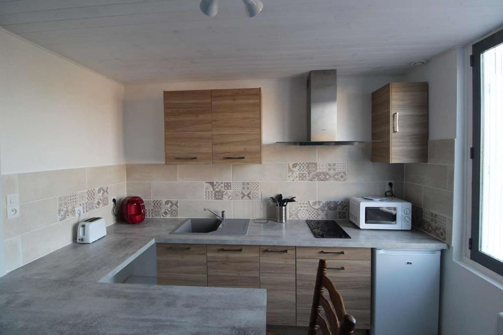 a kitchen with a sink and a microwave at STUDIO 12BIS in Aire-sur-lʼAdour