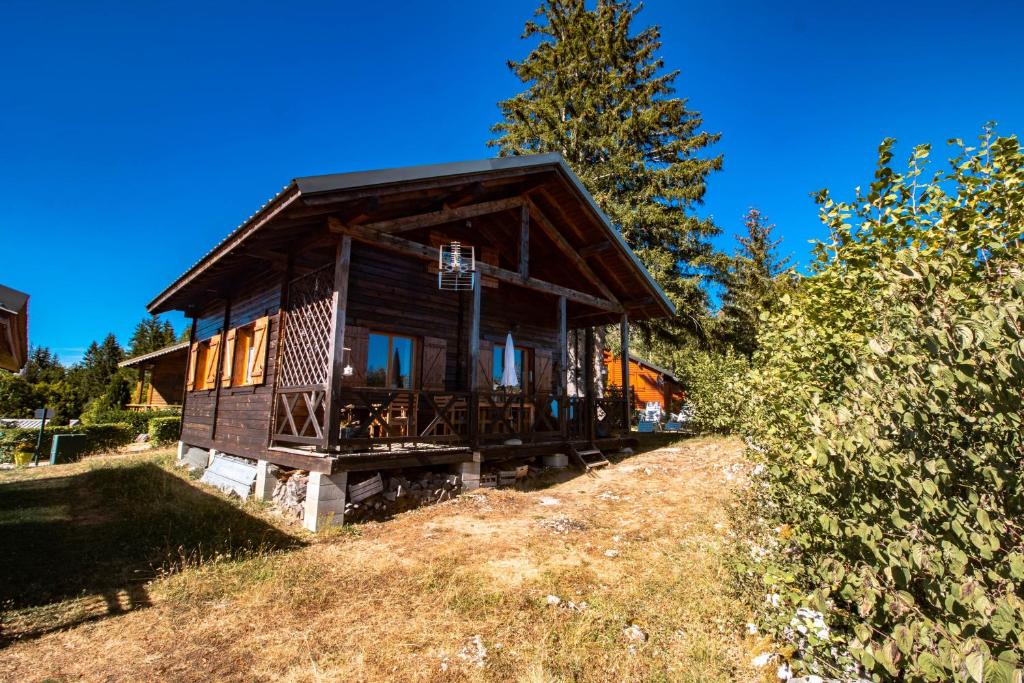 a small wooden cabin on a hill with a tree at Chalet du Bois Joli in Saint-Laurent-en-Grandvaux