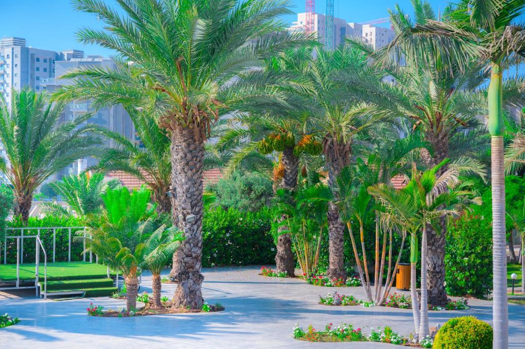 a group of palm trees in a park at Agamim Hotel Ashkelon in Ashkelon