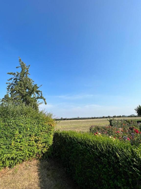 Ferienbungalow Zum Anleger 3 - Holiday Home