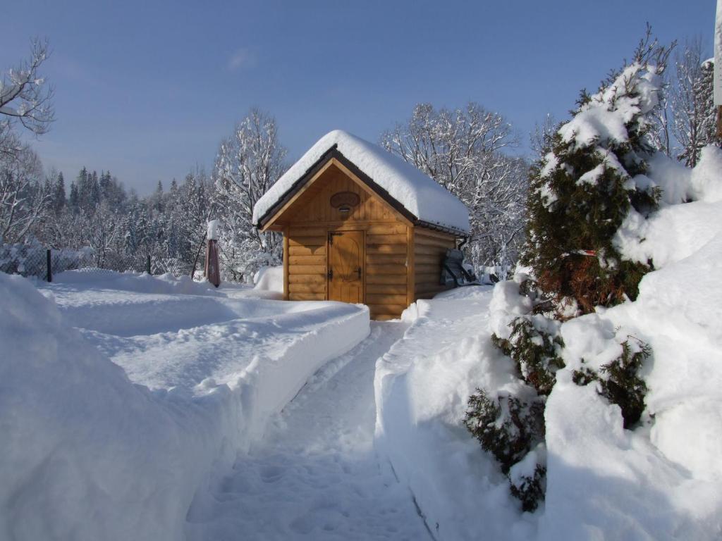 Wynajem Pokoi ,,Góry Tatry Wypoczynek "Paweł Kuczyński v zime