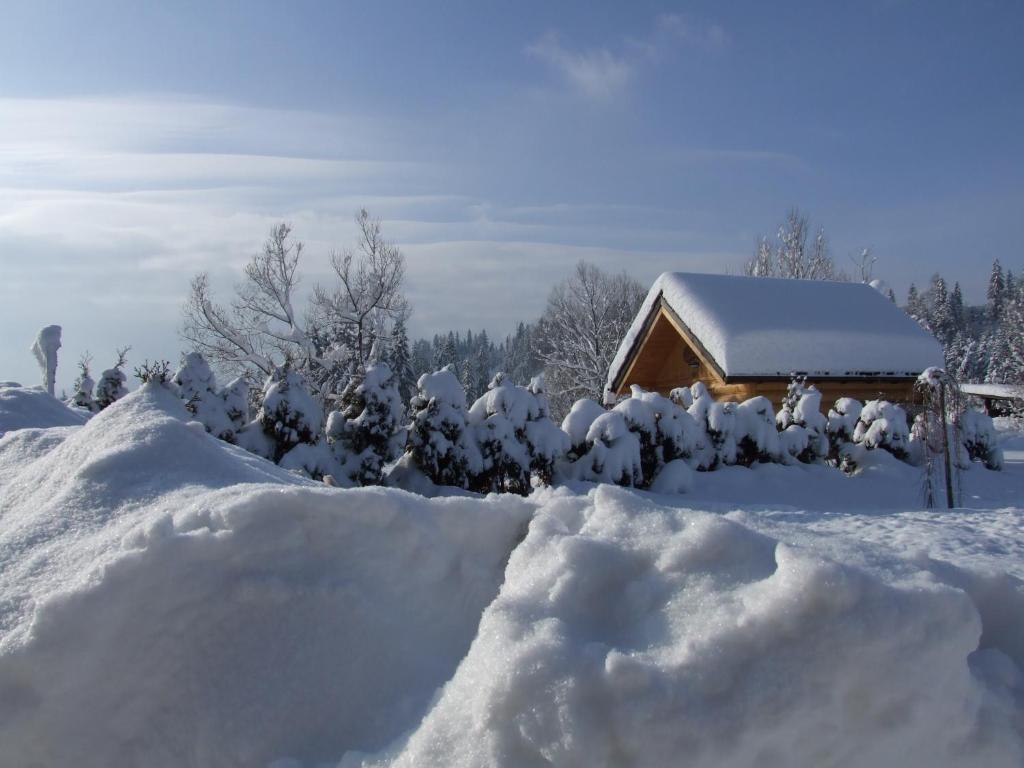 Wynajem Pokoi ,,Góry Tatry Wypoczynek "Paweł Kuczyński v zime