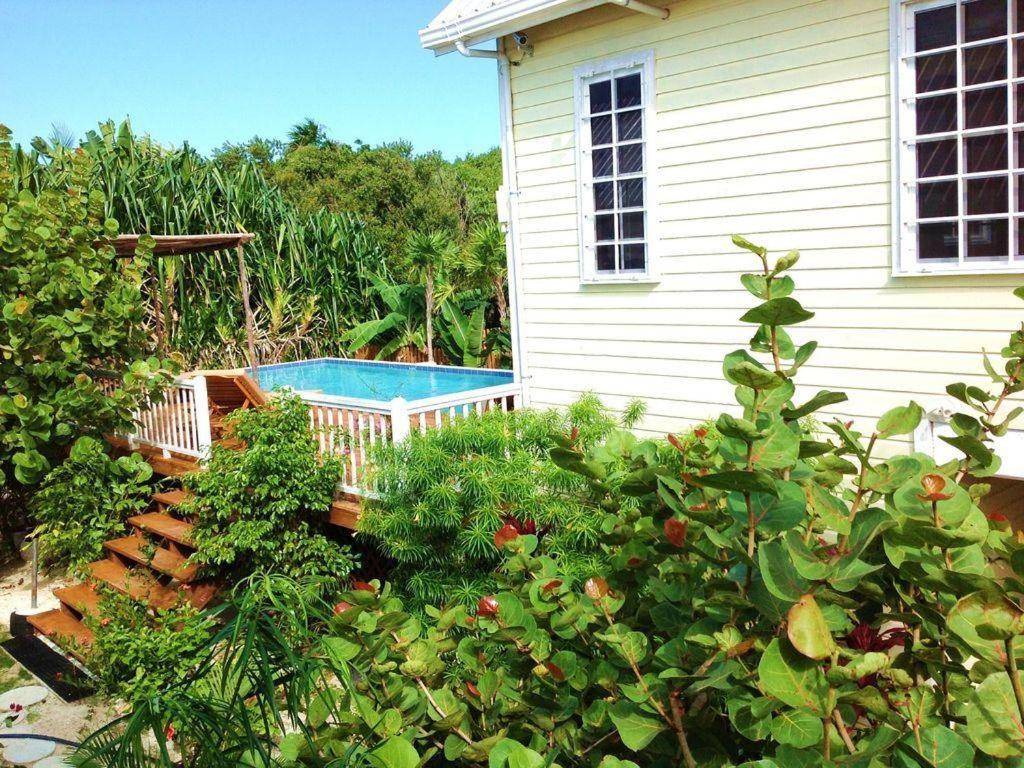 a house with a swimming pool in a garden at Hidden Gem Cabana in Caye Caulker