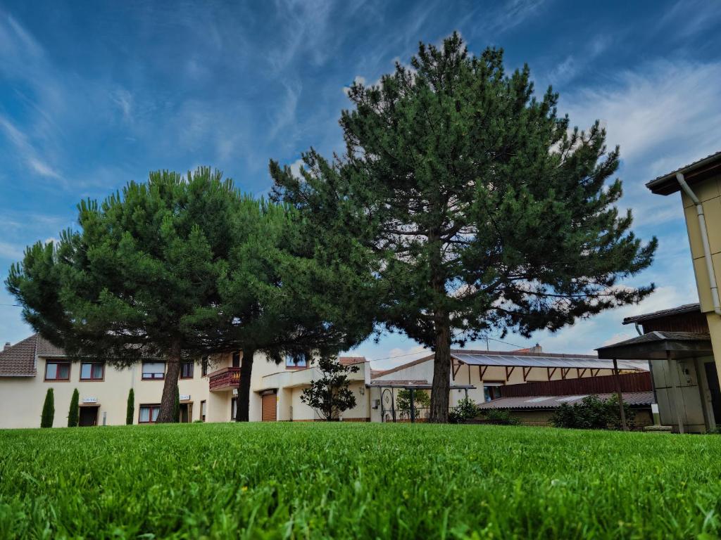 Zahrada ubytování Hotel Tenner