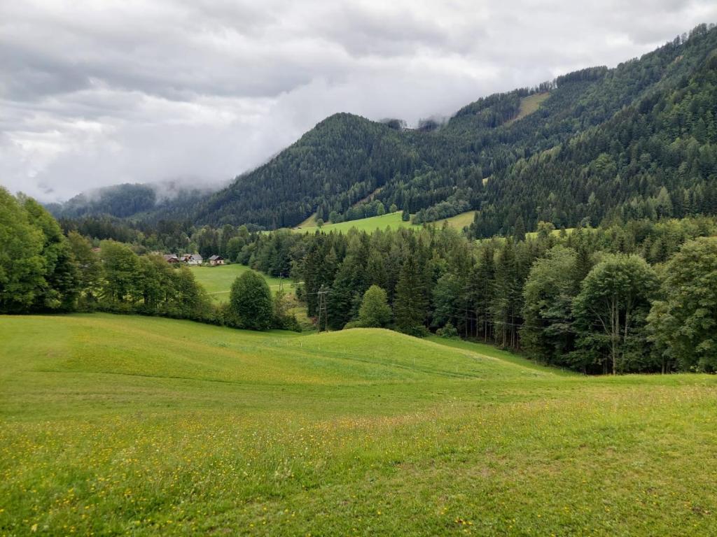 een groen veld met bomen en bergen op de achtergrond bij Ferienwohnung Vertatschablick in Ferlach