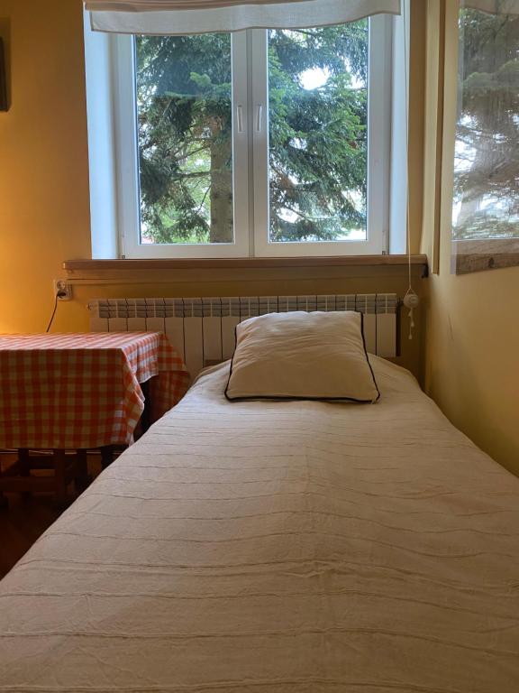 a bed in a room with two windows at Apartament u Maliny in Krynica Zdrój