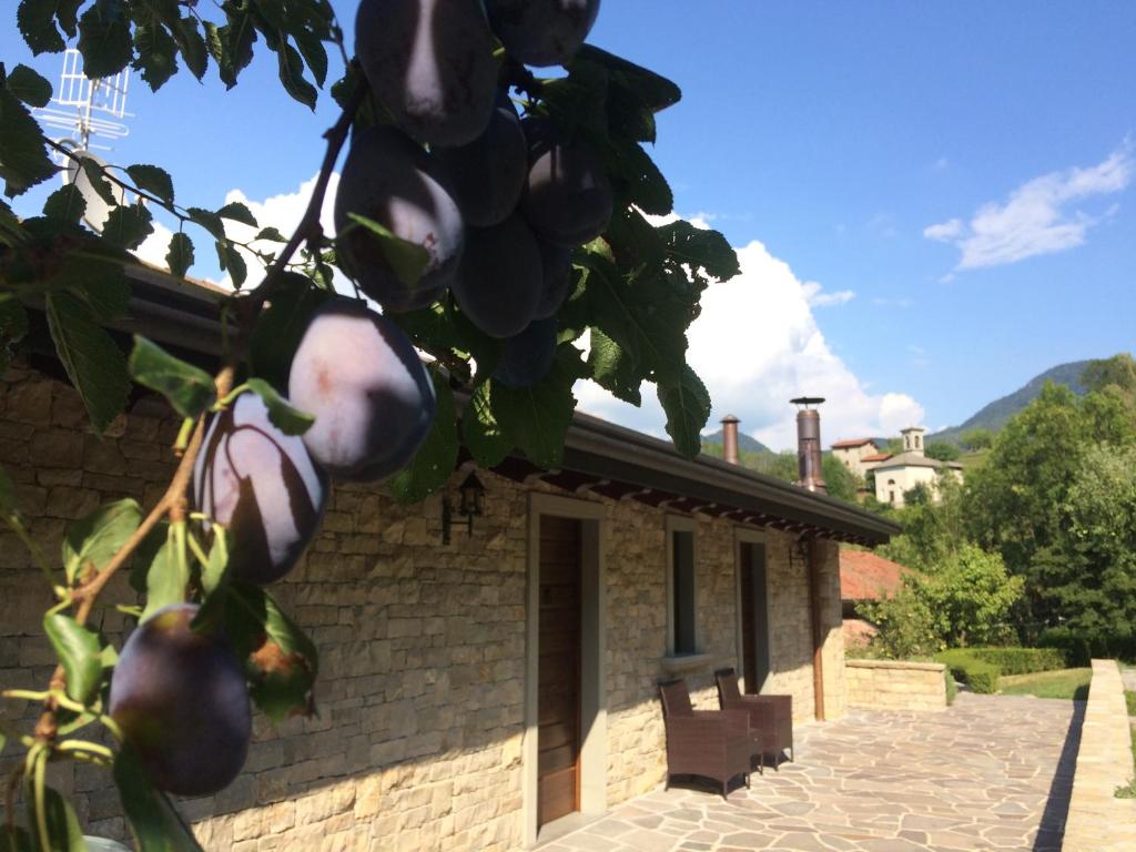 Zogno – Photos 1