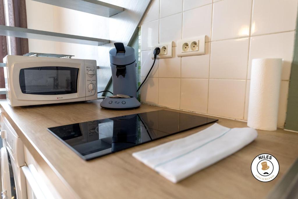 Kuchnia lub aneks kuchenny w obiekcie Le P'ti Pau - Centre de Pau - Appartement lit double