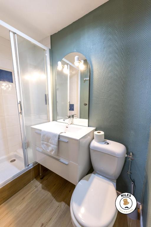 W łazience znajduje się toaleta, umywalka i lustro. w obiekcie Le P'ti Pau - Centre de Pau - Appartement lit double w mieście Pau