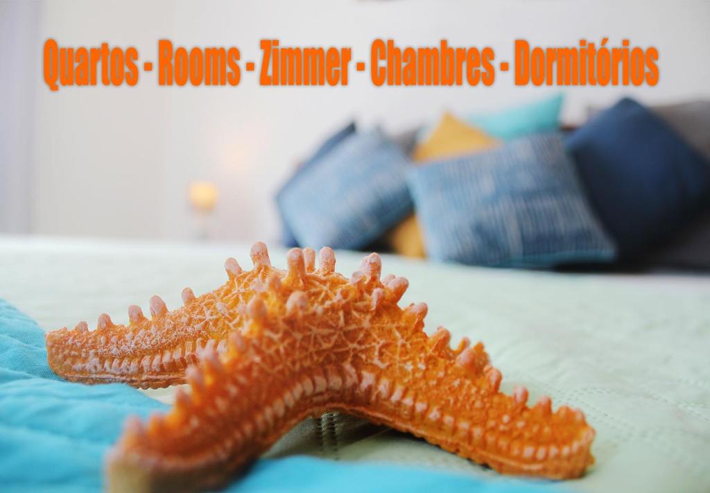 a starfish is sitting on a table at Azimute Guest House in Aljezur