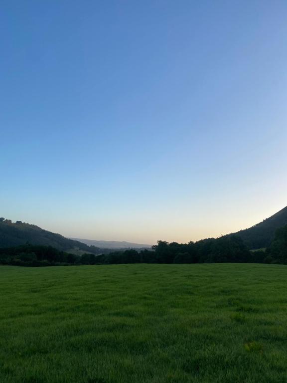 a field of green grass with the sky in the background at The Shack plus Camping in Llandinam