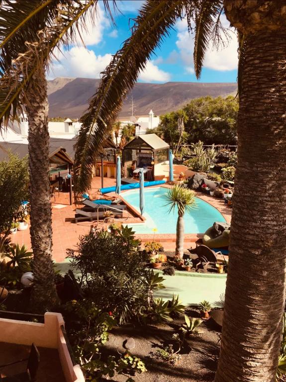 a swimming pool with palm trees in a resort at Casa Verde in Teguise