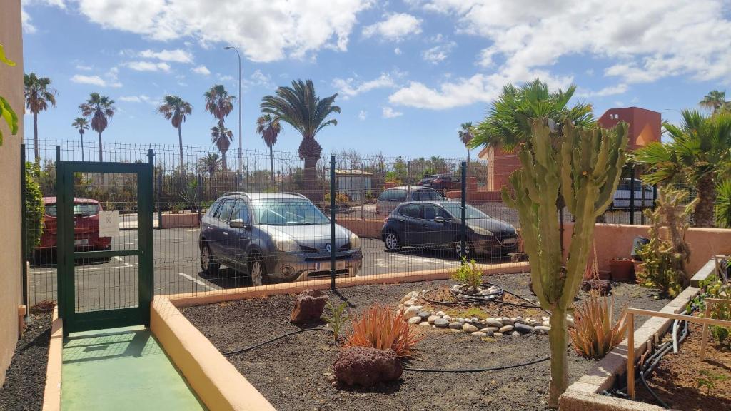 Fotografie z fotogalerie ubytování Vero House TERRAZA DE LA PAZ v destinaci San Miguel de Abona
