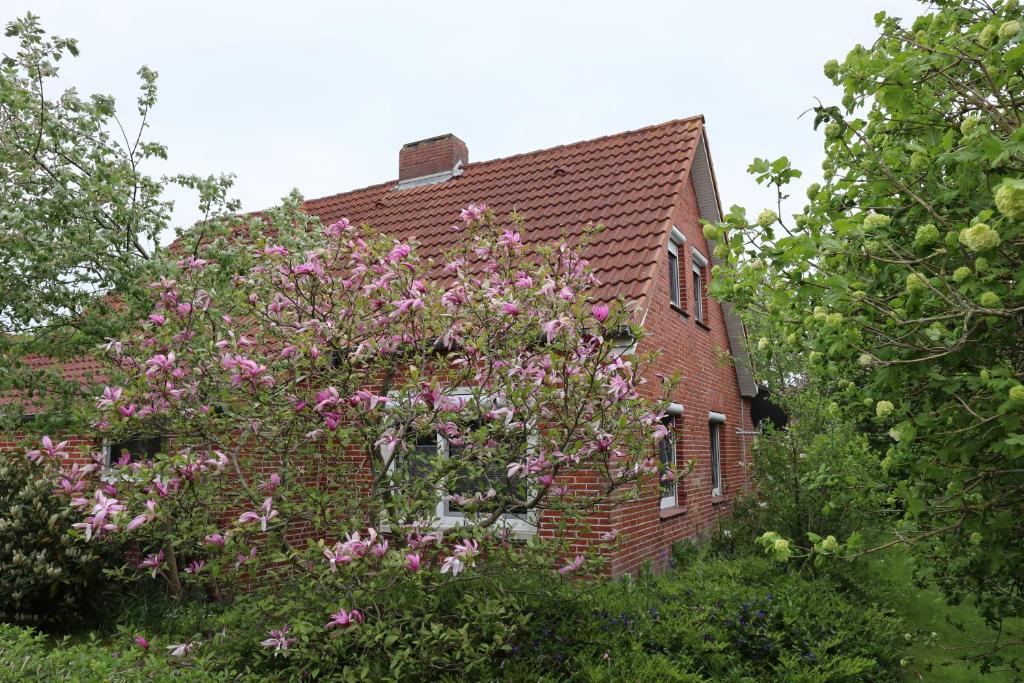Haus Flieder - Four-Bedroom House