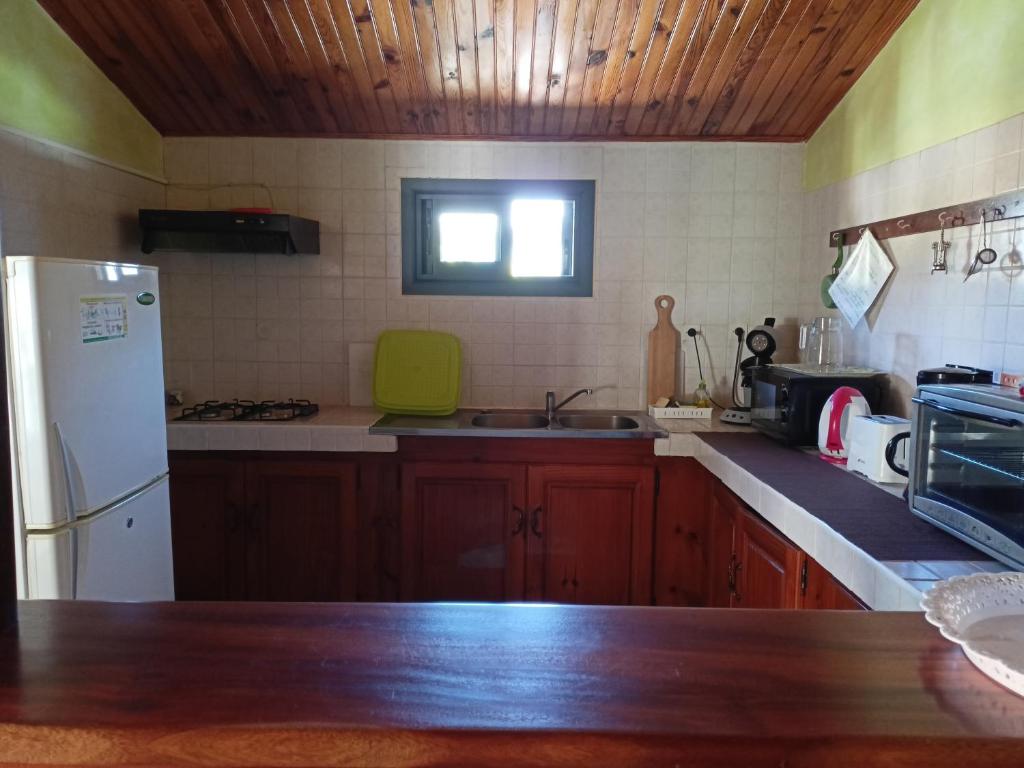 Kuchyň nebo kuchyňský kout v ubytování Petite Fleur de Lentilles 2