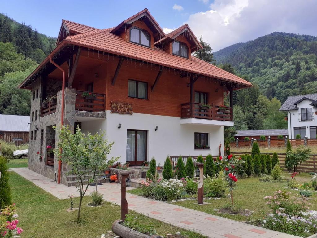 a house in the mountains with a garden at Pensiunea Pietrosul Rodnei in Moisei