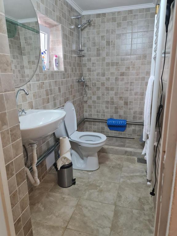 La salle de bains est pourvue de toilettes et d'un lavabo. dans l'établissement Hobby Vendégház, à Kiskunmajsa