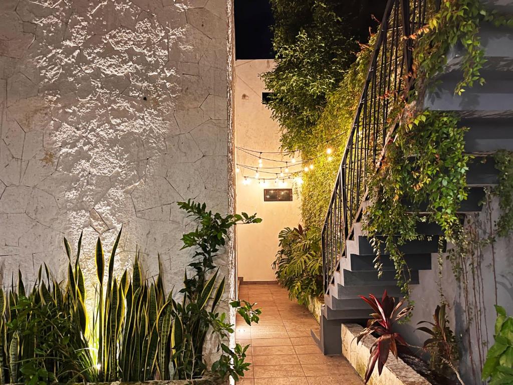Zahrada ubytování HOTEL KOOKAY VALLADOLID