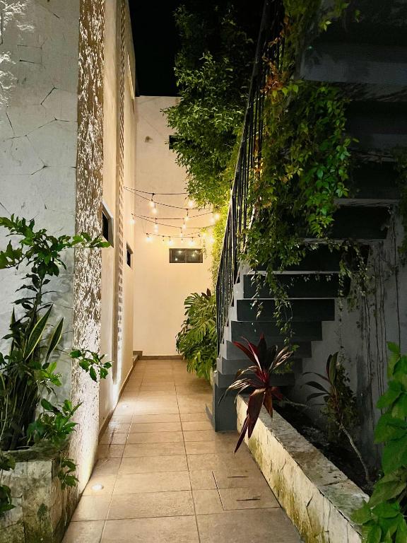 Zahrada ubytování HOTEL KOOKAY VALLADOLID