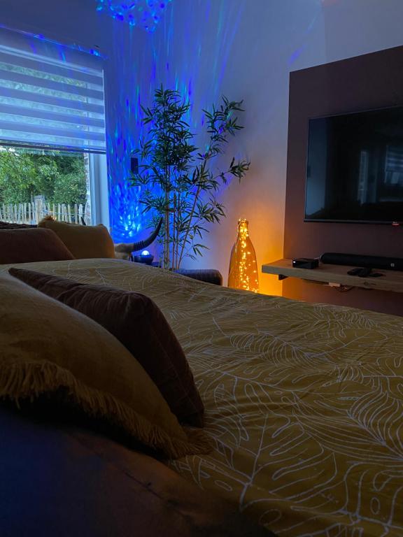 sypialnia z dużym łóżkiem i telewizorem w obiekcie Maisonnette Les garages w mieście Namur