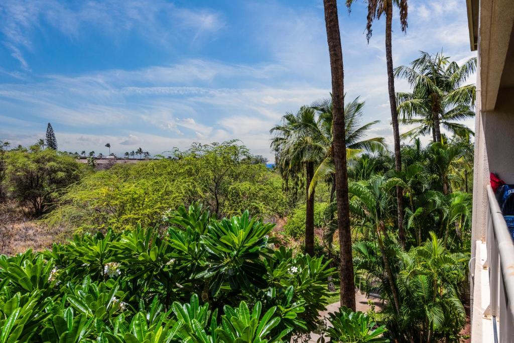 Zahrada ubytování Maui Banyan H311 1BD 2BA 3 min walk to the beach in the Heart of South Kihei!