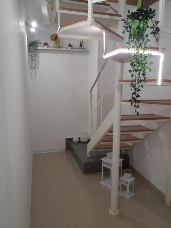 Kép Tania's House szállásáról Cataniában a galériában