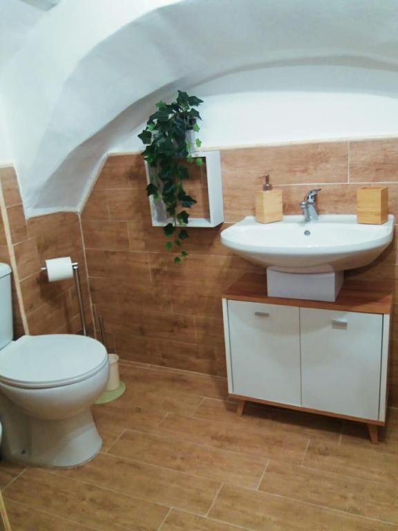 A bathroom at Tania's House