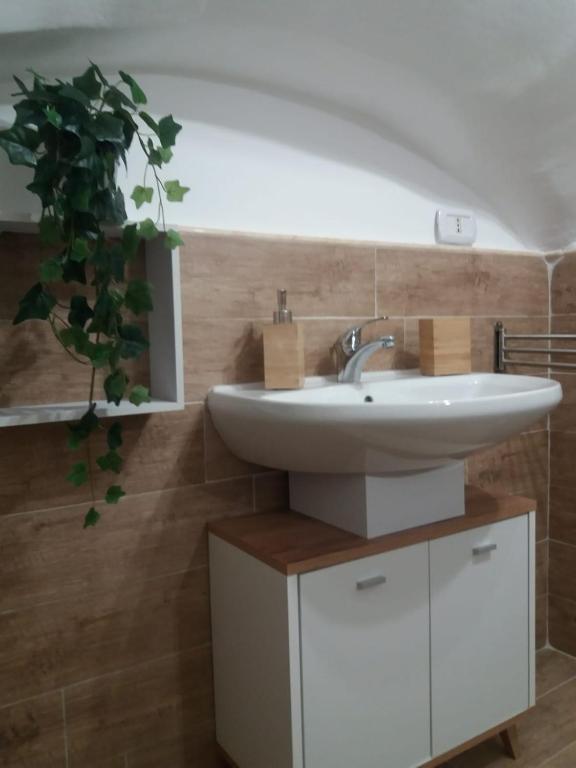 A bathroom at Tania's House
