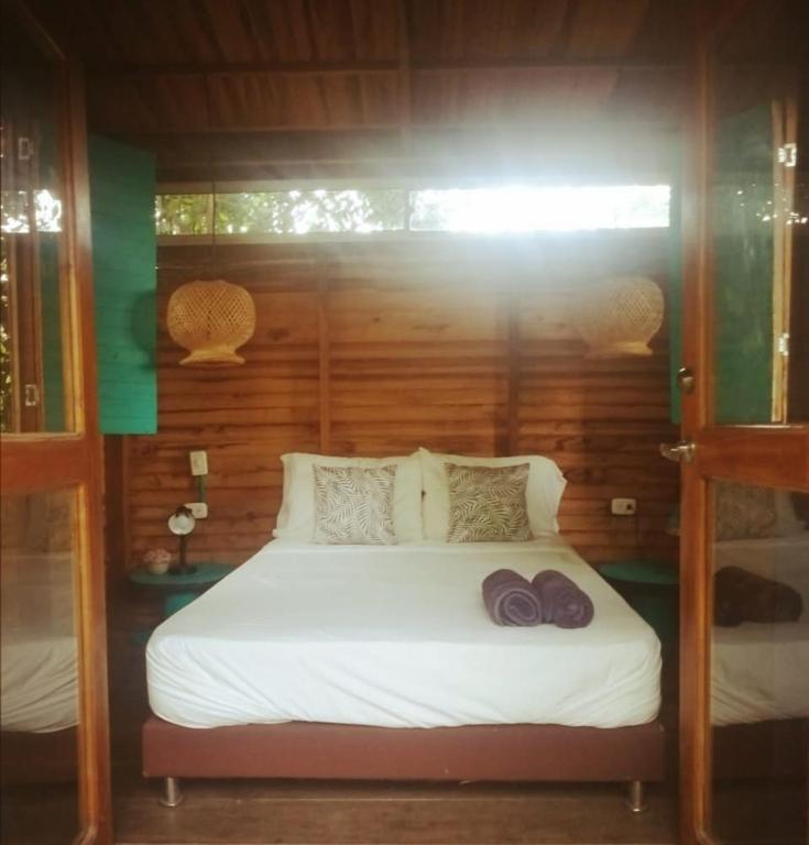 Katil atau katil-katil dalam bilik di Freesoul Hostel