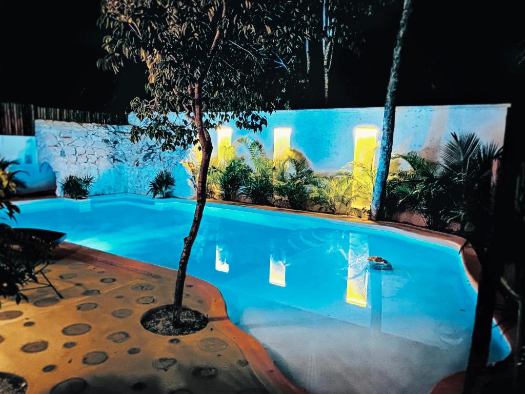 a swimming pool with a tree in front of it at Niik Tulum in Tulum