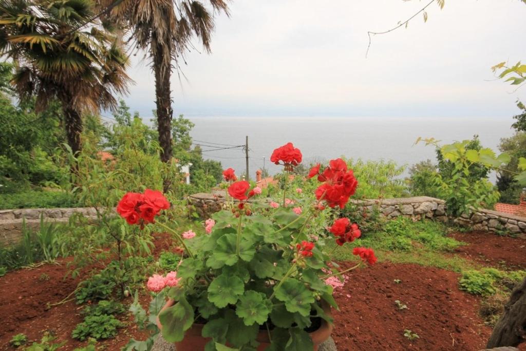 Fotografie z fotogalerie ubytování Apartments by the sea Medveja, Opatija - 7852 v destinaci Lovran