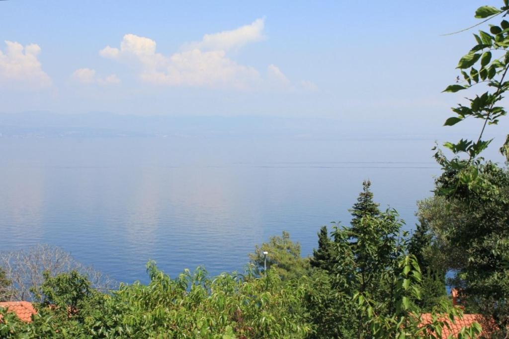 Fotografie z fotogalerie ubytování Apartments by the sea Medveja, Opatija - 7852 v destinaci Lovran