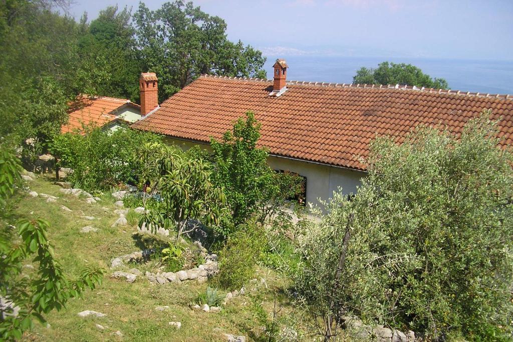 Príroda v okolí apartmánu