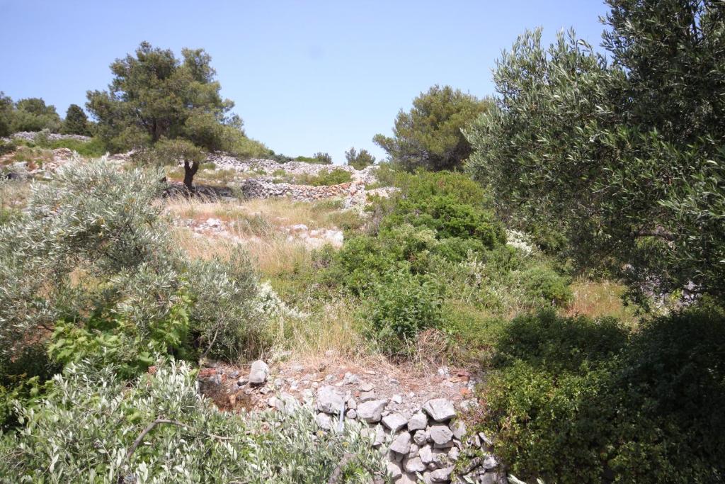 Fotografia z galérie ubytovania Studio Mali Losinj 7942c v Mali Lošinj