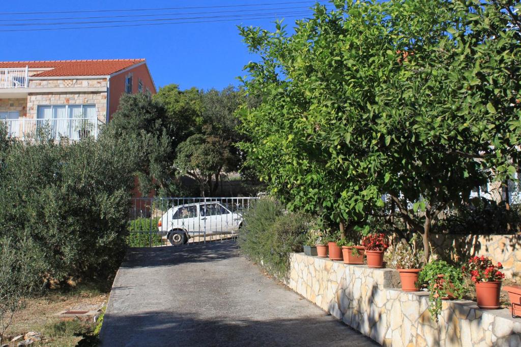 Zahrada ubytování Apartments by the sea Brna, Korcula - 9296